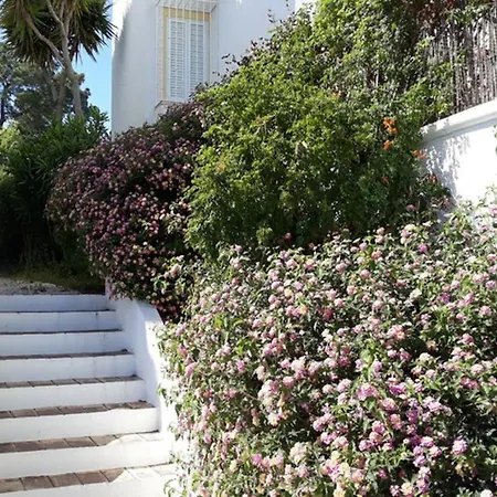 Lägenhet Casa Do Limoeiro Lagos